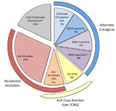 ALK - resistens Mutasjoner i andre gener Andre ALK mutasjoner