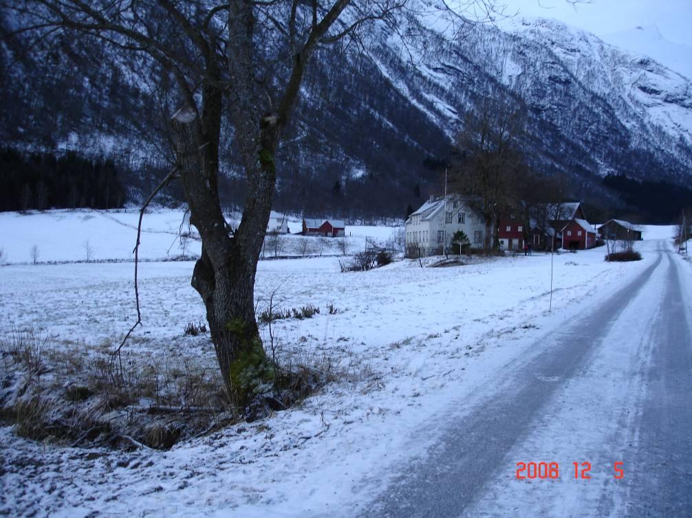 2 OMTALE AV PLANOMRÅDET Mundalsdalen er eit lite dalføre med bratte fjellsider, rett vest for Mundal sentrum, og består av spredt bustdbygging og gardstun.