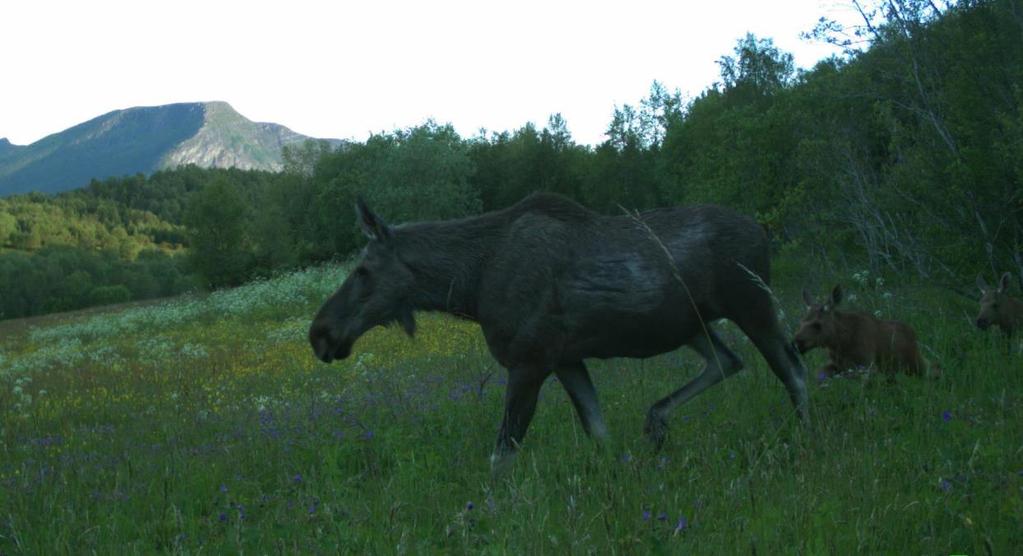 2019 Besøksadresse: