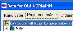Gjennomgang av funksjonalitet og bruk. (Utførelse av selve vurderingen i neste kapittel) 1. Kandidatnavn markert Fanen Programområder Web-søk oppretter automatisk løp for ønsket sluttkompetanse.