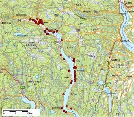 Fig.2. Registrerte lokaliteter med kanadagullris omkring nordre del av Randsfjorden.