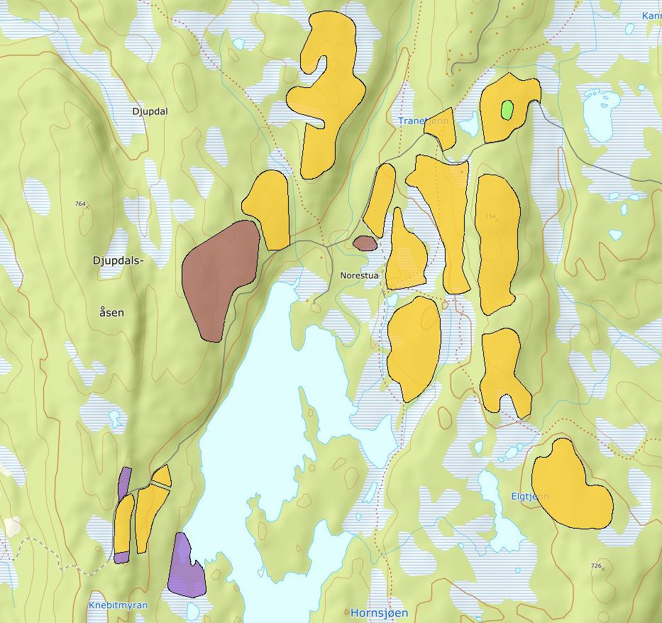 OMRÅDE: Hornsjøen H69a-m Hornsjøen med omegn Gbnr 130/4 og 131/3 Innspill: 5 Dagens formål: LNF Foreslått formål: Fritidsbebyggelse Arealstørrelse: 420 daa Moh.