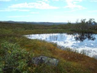 Tonstad vindpark Vedtak Sirdal kommunestyre 28.01.