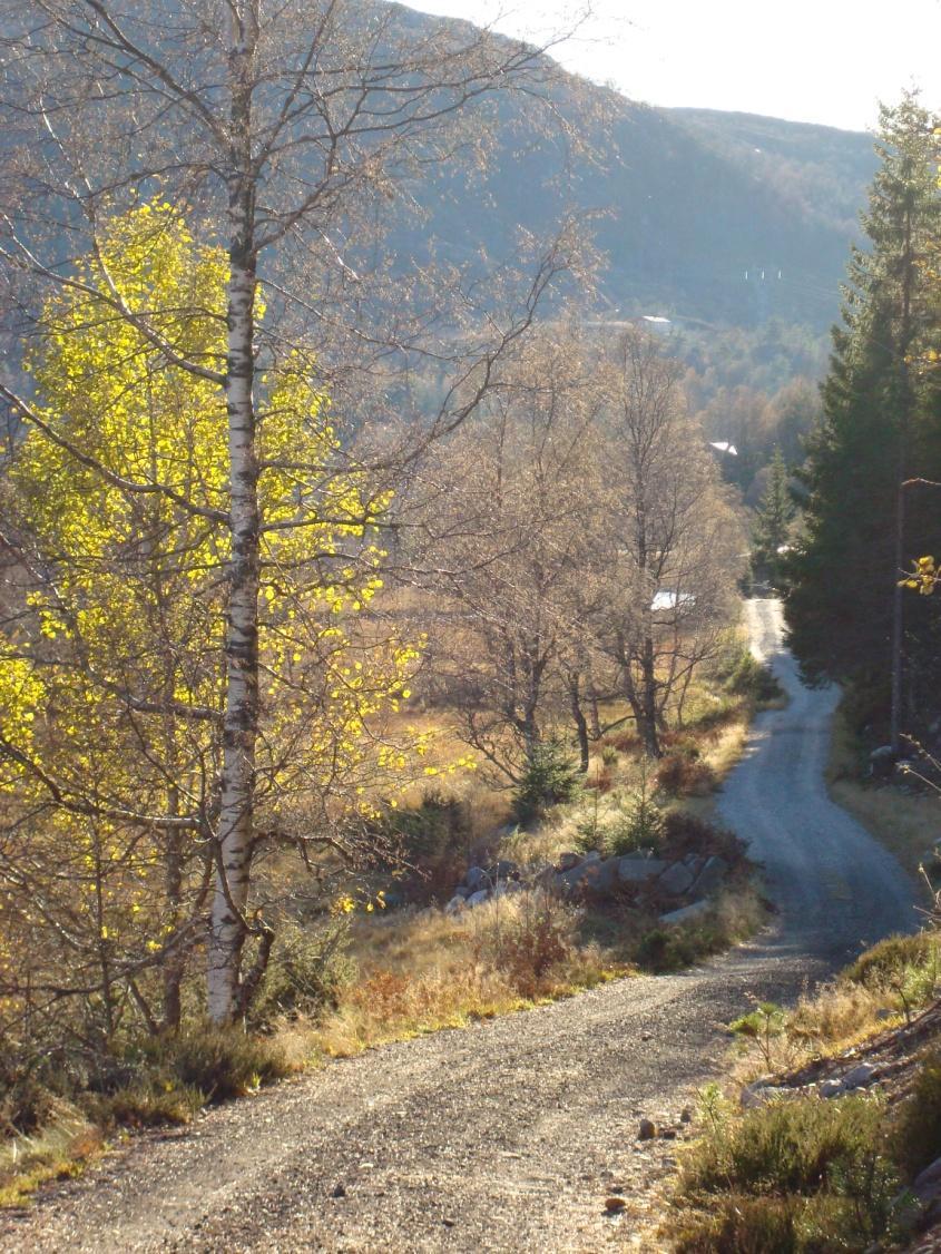 1 Formål og organisasjon Varde Velforening, Josdal er stiftet 16. oktober 1968, og har varden som symbol.