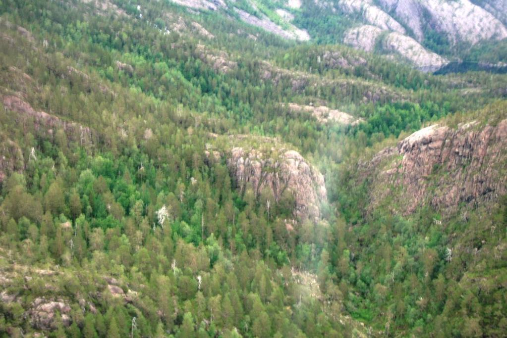 Biletet er teke i nordleg retning gjennom