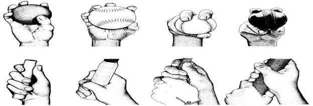 Hvordan ble hånden vår til og hva er spesielt med en menneskehånd?