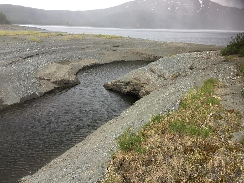 Figur 2-11 Noe bølgeerosjon ut mot sjøen. 2.6 Austvika, Storbekken nr. 6.