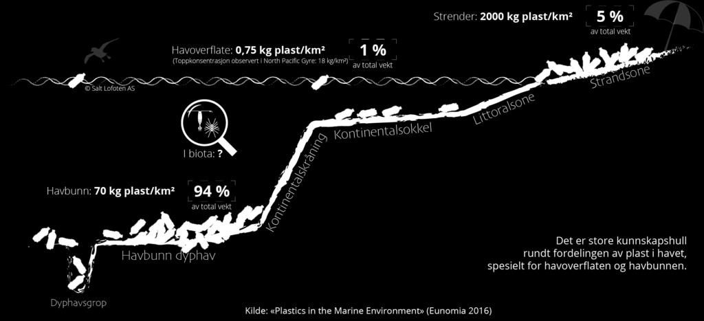 Opprydding av marin forsøpling i Nordland Bakgrunn AVGRENSNINGER Marin forsøpling er et globalt problem som skyldes utslipp av avfall til havet.