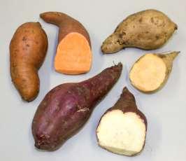 Søtpotet er naturlig transgen The genome of cultivated sweet potato contains Agrobacterium T-DNAs with