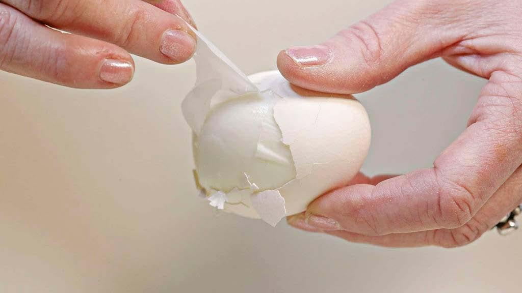 Norilia AS Eggehinne som aktivt plaster for kroniske sår Samarbeid med
