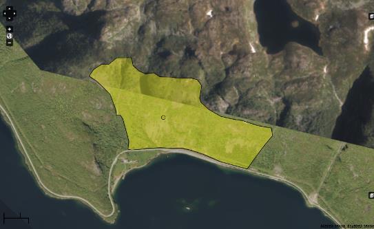 Figur 39 Avgrensing av relevante leveområder for mnemosynesommerfugl i Sandviki i Vinje. Vinje, Arabygd, Nyskredjuved_Nordjordet: UTM 32 V 429770 6626676.