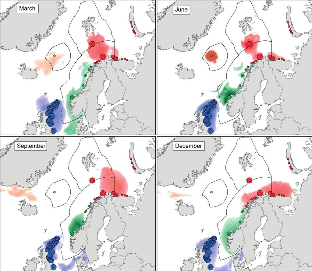 Figur 2.20. Lomvi (Uria aalge). Viktige områder for lomvibestander i norske havområder gjennom året.