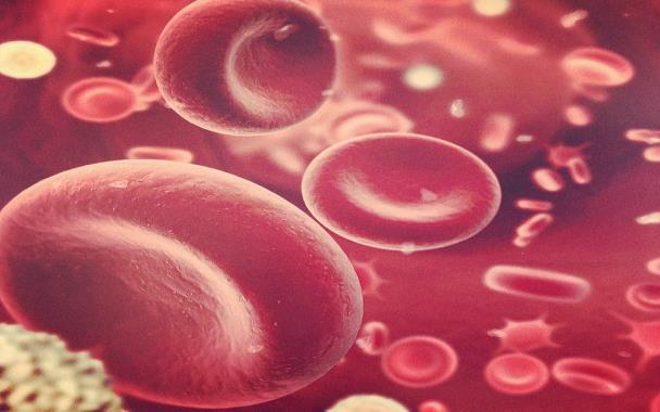 Gasstransport i blod - Erytrocyttene Inneholder hemoglobin (Hb) Jernholdig protein som kan ta opp og transportere både O2 og