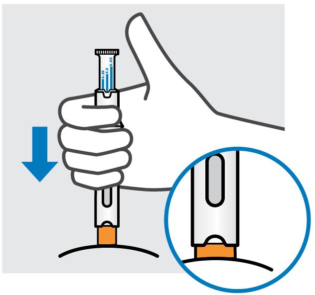 2. Injiser Simponi med den ferdigfylte pennen Doseindikatorhakk Still inn forskrevet dose Vri på stempelet til doselinjen for din forskrevne dose er på linje med