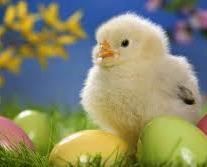 Vi har også planer om å lage litt forskjellig påskepynt sammen med barna. Påskesanger/regler som vi vil synge er bl.a.: En liten kylling i egget lå, Haren ut i gresset og Liten kylling.