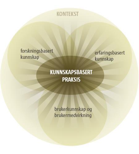 Kunnskapsbasert praksis Å utøve kunnskapsbasert praksis er å ta faglige avgjørelser basert på systematisk innhentet