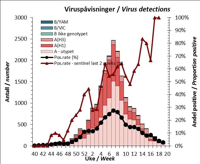 influensapositive fra tidlig i november, og først i uke 17 krøp andelen opp over 3 %. Vi må tilbake til pandemien i 2009 for å finne en tilsvarende lav type B-andel.