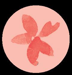 CM_Tiny_Flower_Pink_Full_