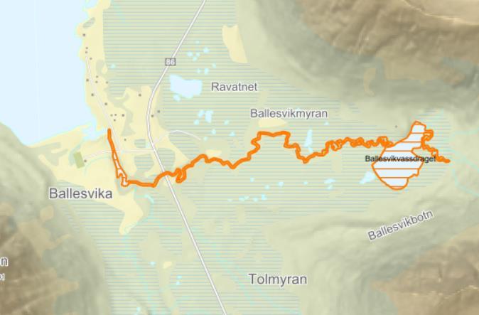 oktober, og trolig traff vi gytetiden for laksen godt. Vi undersøkte kun utløpselva (figur 4). Innløpselvene er små og tilsier ikke at voksen fisk oppholder seg her.