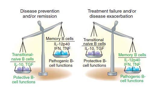 Balance of B Cells Sanz I et al, B cells and