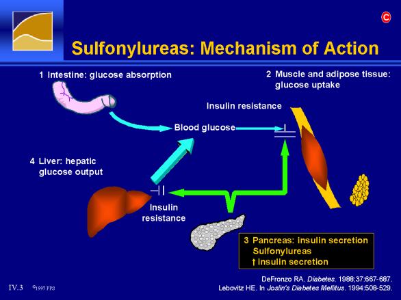 Sulfonylureas: Mechanism of Action Bivirkninger Tap av effekt over tid UKPDS etter 6 år ikke nok effekt (1) Vektøking ca.