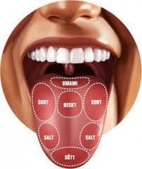 Fysiologi 5 smaker 1. Søtt 2. Salt 3. Surt 4. Bittert 5.
