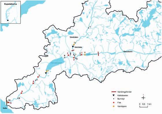 Figur 1. Espedalselva med nedbørfelt og stedsangivelse av kalkdoserere, vandringshinder for laksefisk og stasjonsnett for overvåking av vannkjemi, bunndyr og fisk.