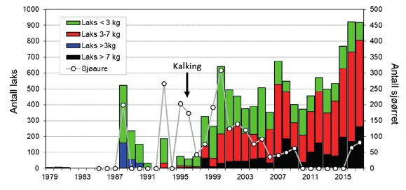 Figur 7. Antall laks og sjøørret fanget, både avlivet og gjenutsatt, i Espedalselva i perioden 1979 til 2017. Sjøørreten har vært fredet siden 2010.