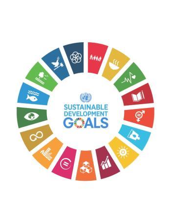 Viken: FNs 17 bærekraftsmål som grunnlag Gjøre byer