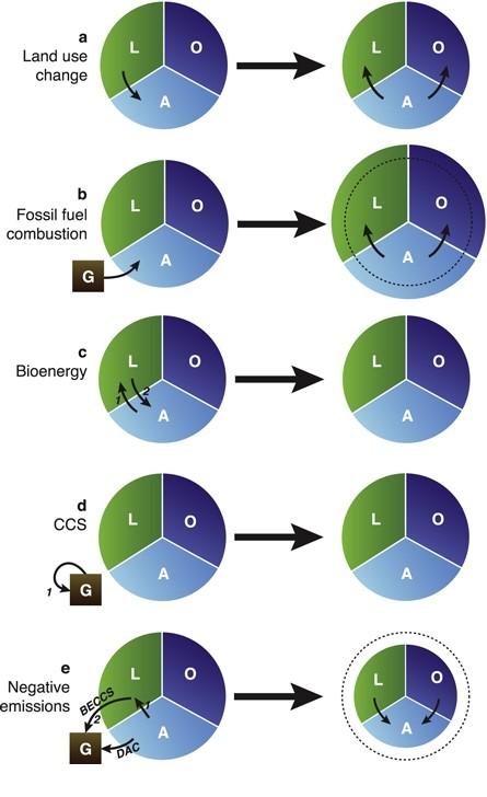 Sink Source CO 2 flux (GtC y -1 ) Karbonbalansen globalt Sement prod/fossile utslipp avskoging
