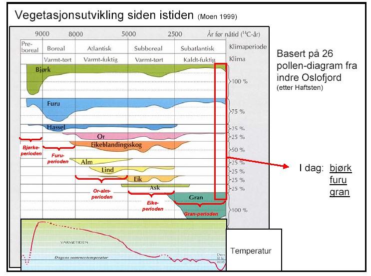 +3 C Dagens