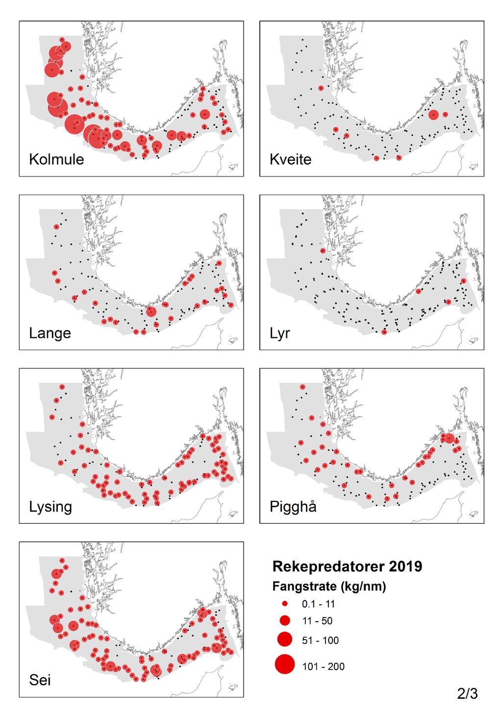 Figur 15b. Fordeling av rekepredatorarter for reketoktet i 2019, bobleplott viser fangstrate i kg/nm.