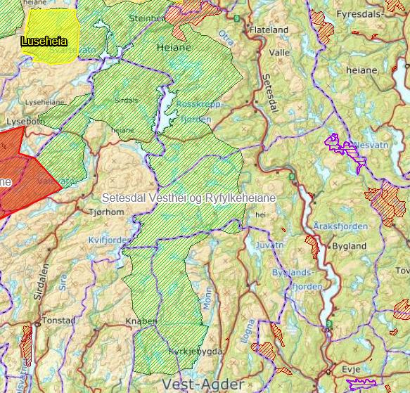 Setesdal Vesthei Ryfylkeheiane landskapsvernområde er markert med grøn farge Vurderingar og konsekvensar Setesdal Vesthei-Ryfylkeheiane landskapsvernområde SVR består av 17 verneområder.