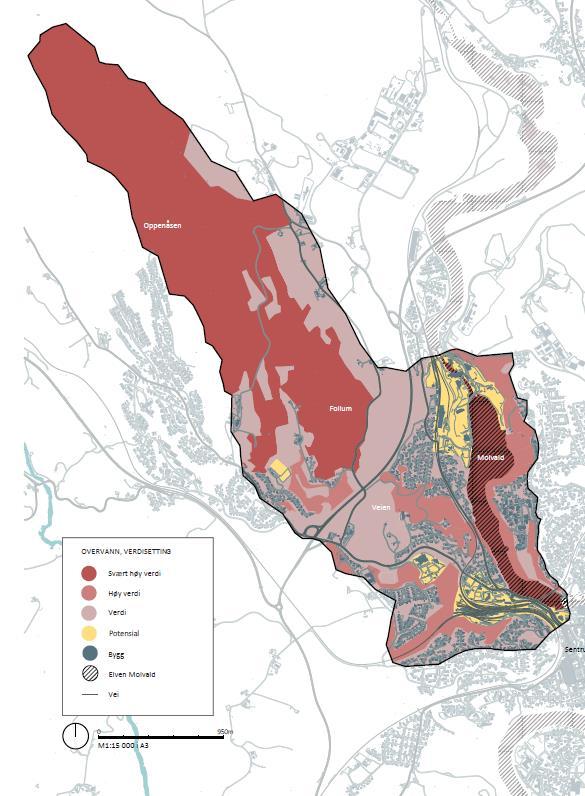 4. Identifisere tilgjengelig arealer for blågrønne