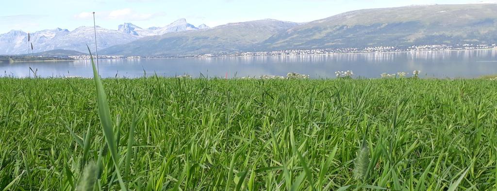 Klimaendringer og landbruk i