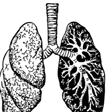 IAB Flu A + Flu B ABR Flu A, Flu B & RSV RSV RSV A + B PIZ H13 Flu Typing I (H1N1 & H3N2) HXN Flu Typing II (H1N1, H5N1, H3N2 & H7N9) RPA