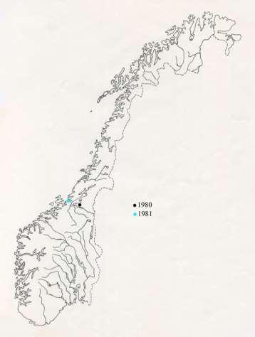 Svømmekløe i Norge 1980 Kløende utslett etter bading i ferskvann i Jonsvatnet