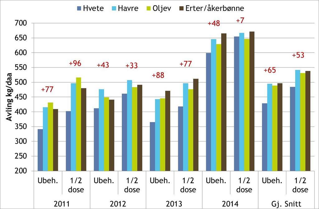 NB! Avling i kg/dekar Avling, årsvariasjon og gjennomsnitt Røde tall meravling i middel for gode forgrøder i forhold til hvete etter hvete