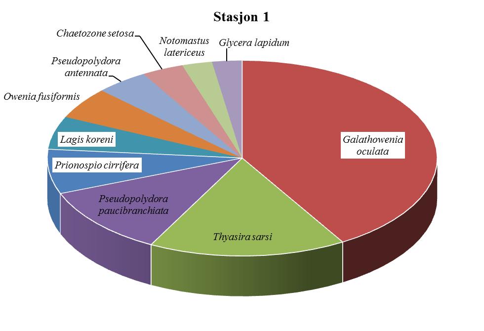 Figur 3.1. Fordeling av antall individer for de ti hyppigste artene ved nærstasjonen Stasjon 1.