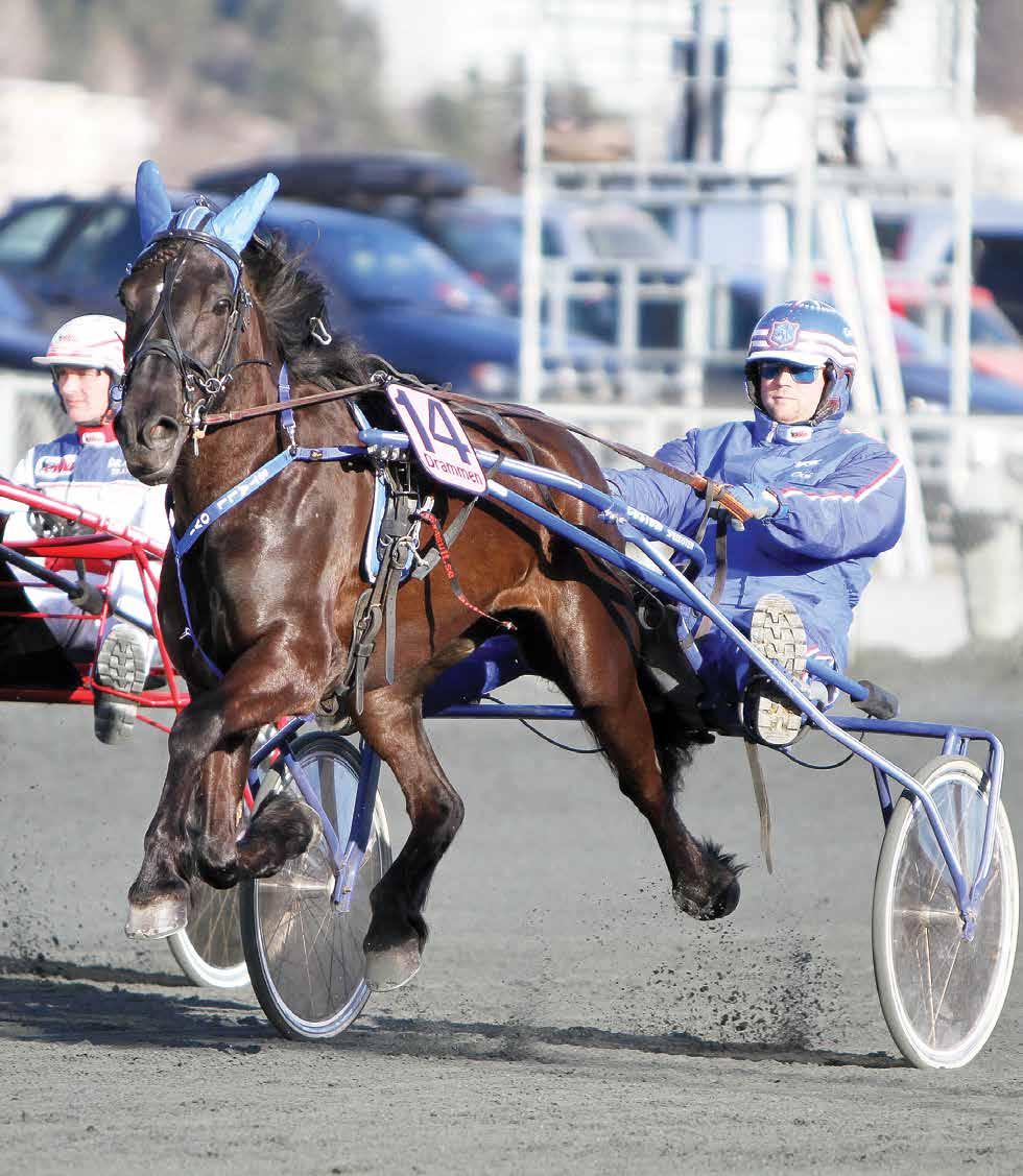 Tips til Side V75 Bjerke torsdag 30.12 DD 2 Jarlsberg fredag 28.