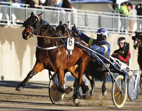 V75-7 Løp 11/V5-5/DD-2 Kl. 18.42 Løp: 11 BJERKEBODENS LØP - V75 WINTER BURST (ca. kl. 18:42) V75 WINTER BURST For 3-12-årige høyest 800.000 kr som har fullført minst 1 totalisatorløp f.o.m. 11. oktober 2018.