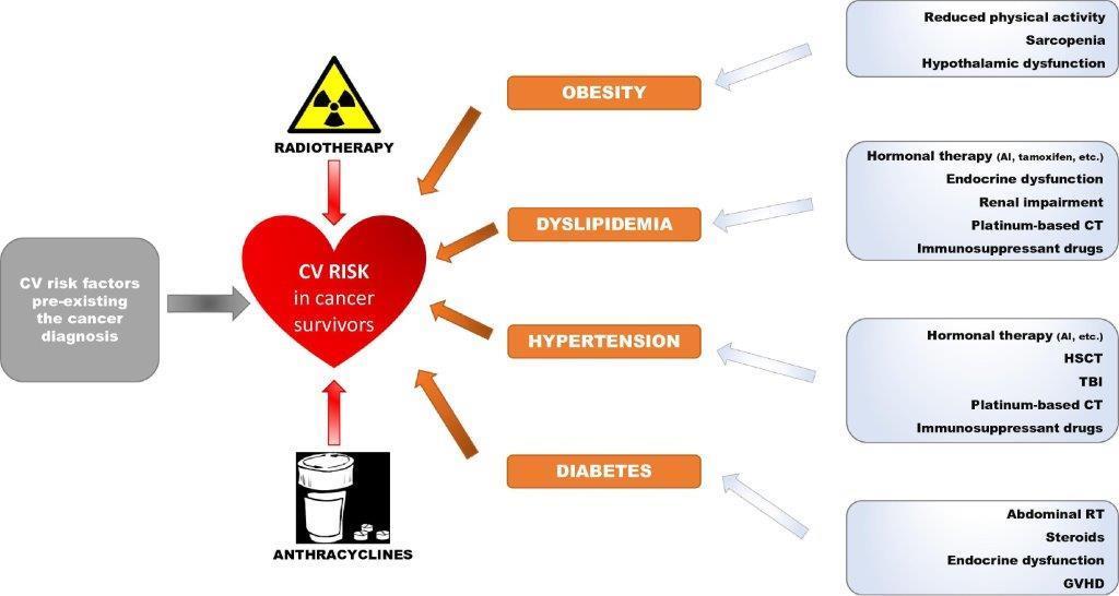 Kardiovaskulære risikofaktorer hos kreftoverlevere - direkte og indirekte effekter
