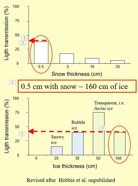 Lake (196) - nedbør er også viktig, særlig om den faller som snø - klar is fører til at en