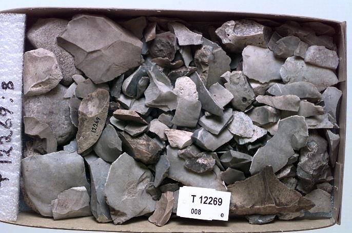 Fra gården Bolgen gnr. 138 er det registrert flere løsfunn i Vitenskapsmuseets gjenstandsdatabase: o T12269-4 a-e, redskaper og produksjonsavfall i flint, bl.a. 2 kjerneøkser datert til eldre steinalder.