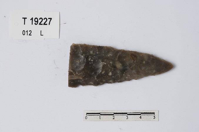 28, datert til yngre steinalder/bronsealder. o T16523, liten hjerteformet pilspiss av hvit kvarts, datert til yngre steinalder/bronsealder.