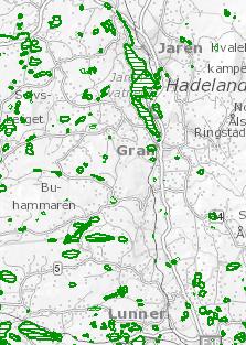 Naturtyper etter DNs håndbøker 13 og 19 Naturtyper som er spesielt viktig for biologisk mangfold Ikke heldekkende, kun et utvalg av alle naturtyper skal kartlegges Dekning: Antar at mellom 20 og 50 %