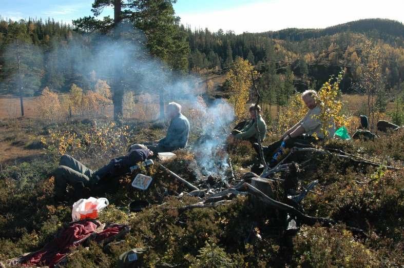 Mot en bærekraftig forvaltning av elg, hjort og deres