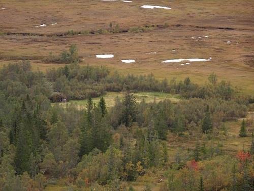 Skjøtselstiltak på setervoller Stormoen,