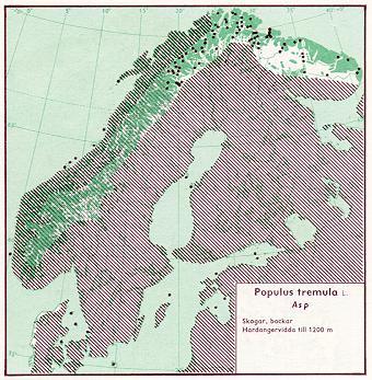 tremula) i Norden (kart: Hultén 1971). Fig. 3.