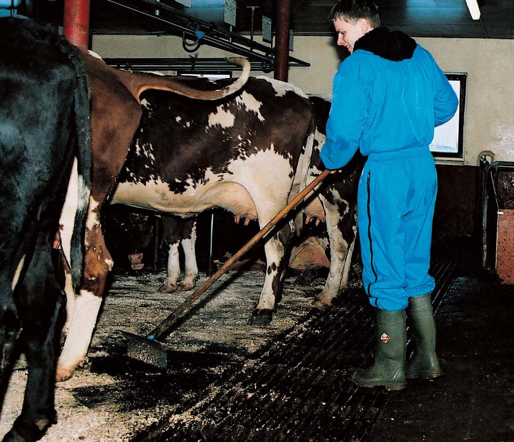 kyrne og større trivsel, forteller Ola Erik. Vekstskiftet er tre år eng og to år åker.